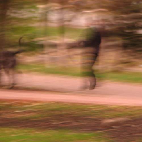 Фотография #13151935