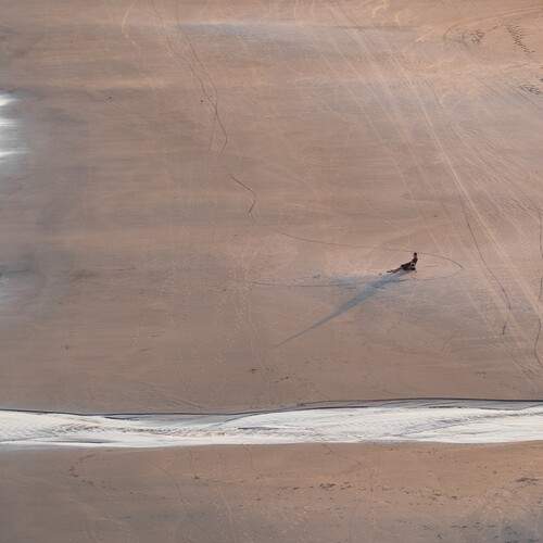 Solitude