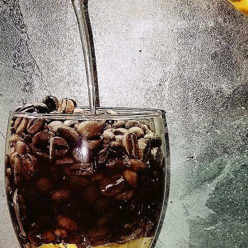 Photo #13151947