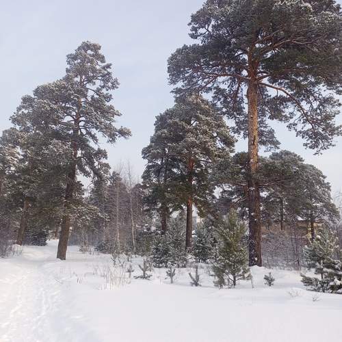 Photo #13151969