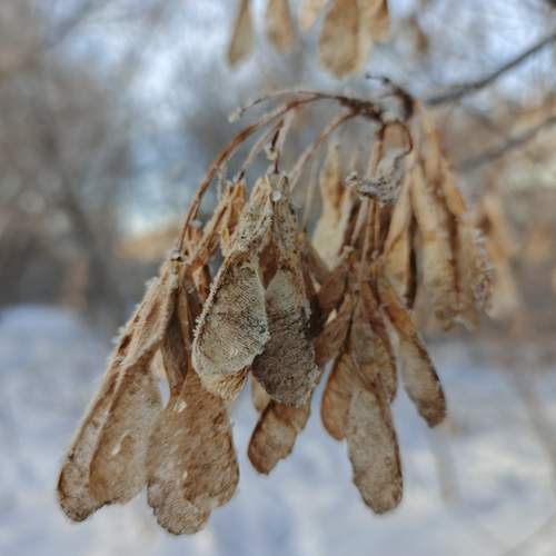 Photo #13151987