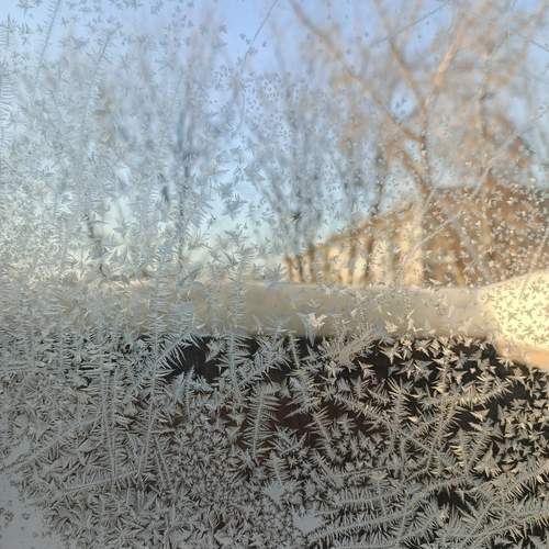 Photo #13152060