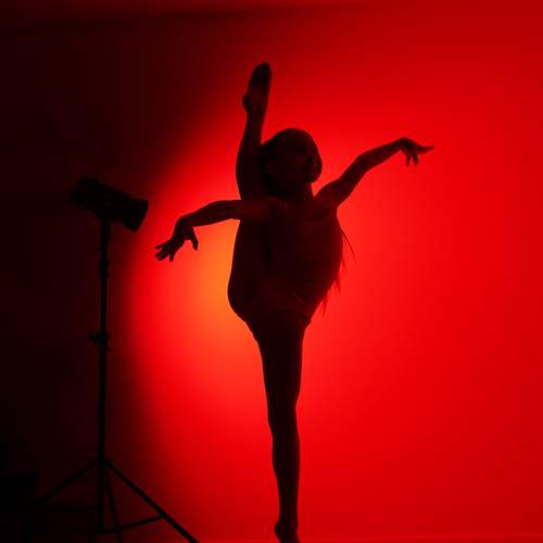 Photo #13152080