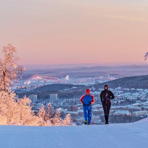 Photo #13152098