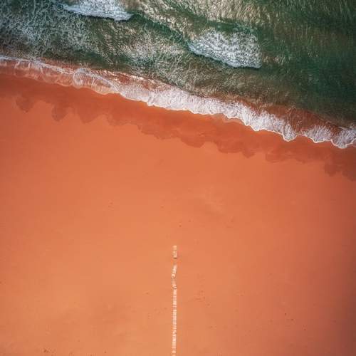 Фотография #13152169