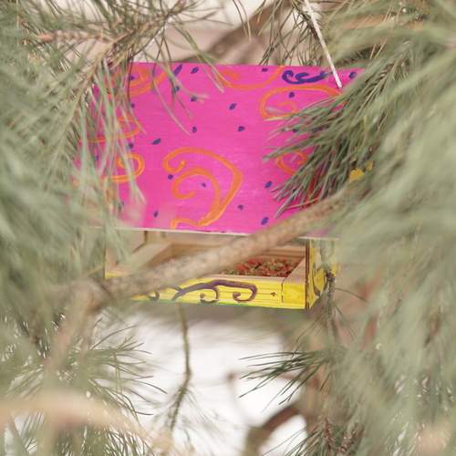 Photo #13152178