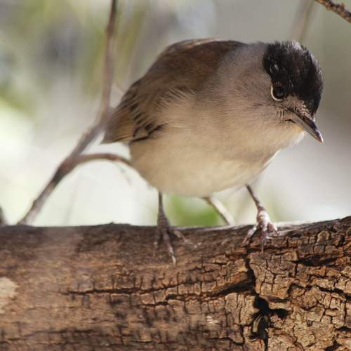 Photo #13152203