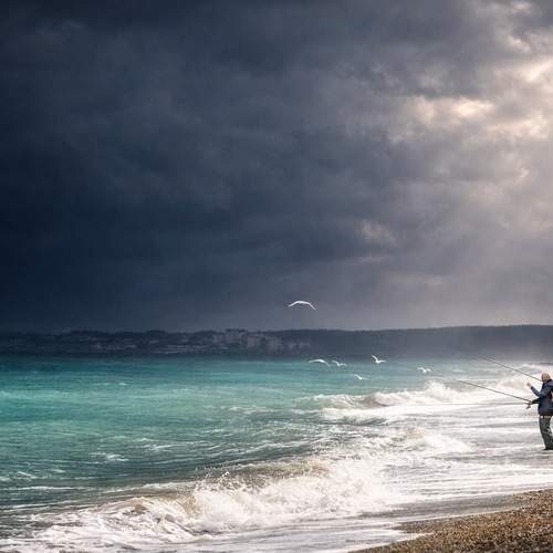 Photo #13152225