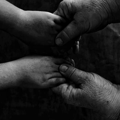 Photo #13152241