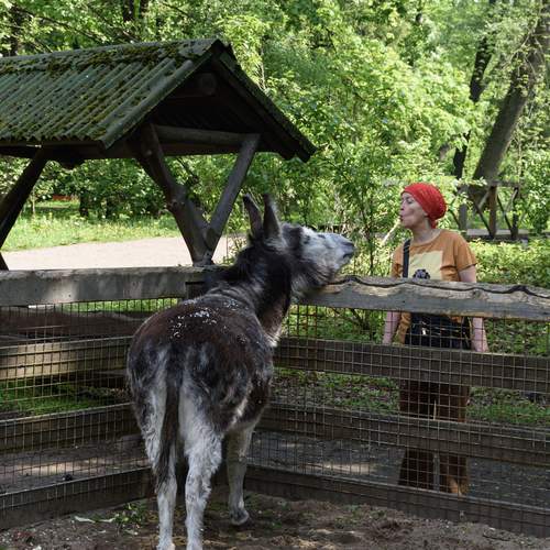 Взаимное чувство