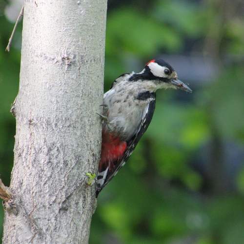 Photo #13152345