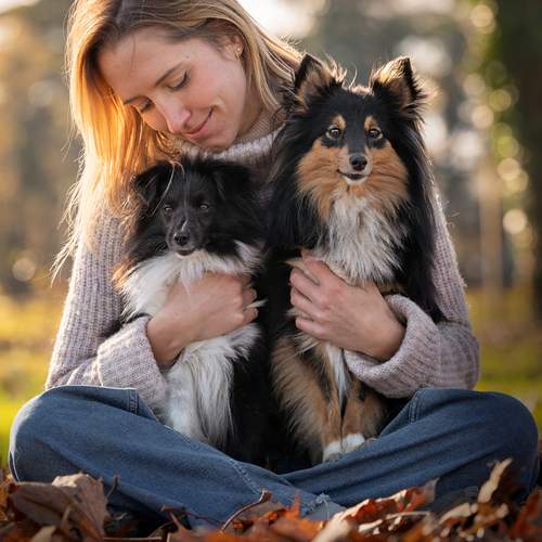 Photo #13152490