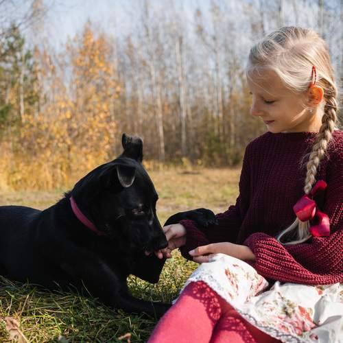 Photo #13152545
