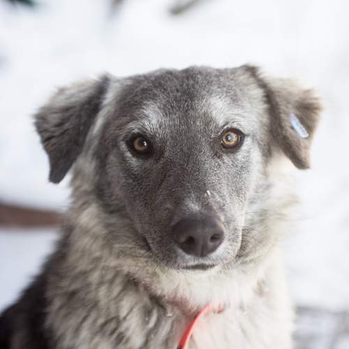 Photo #13152605