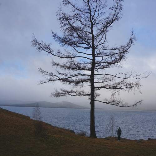Photo #13152660