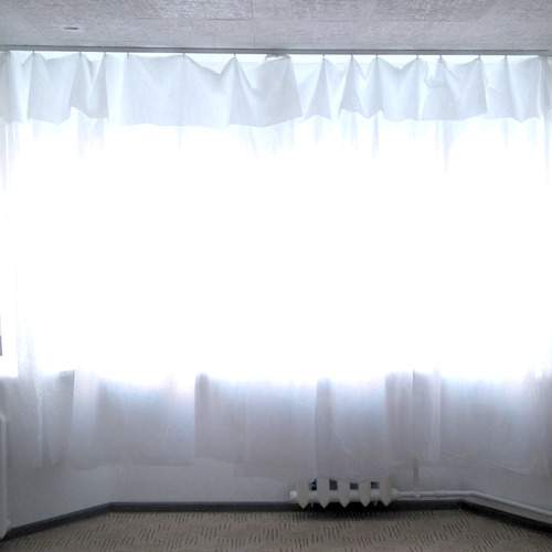 Photo #13152666