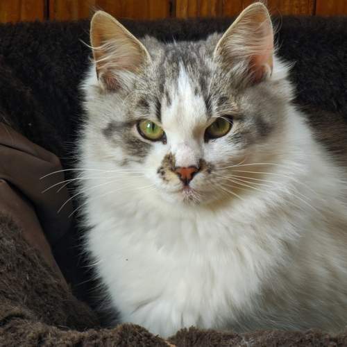 Photo #13152898