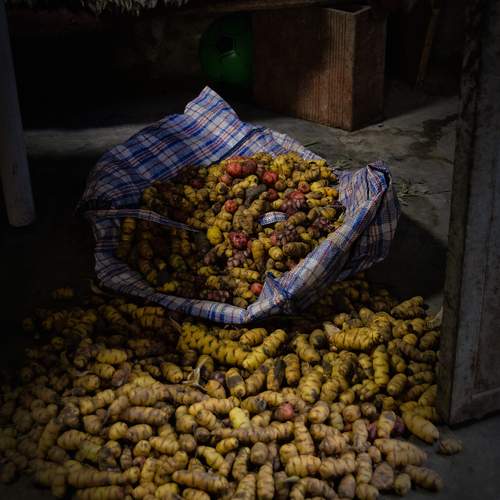 Ollucos