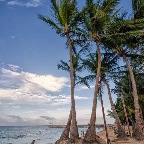 Photo #13152956
