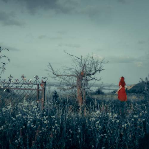 Photo #13153107