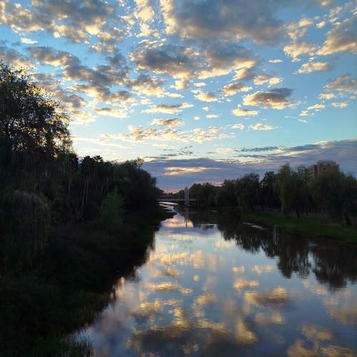 Photo #13153175