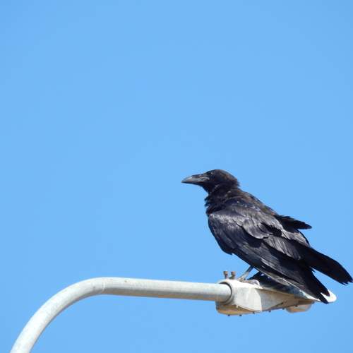 Photo #13153548