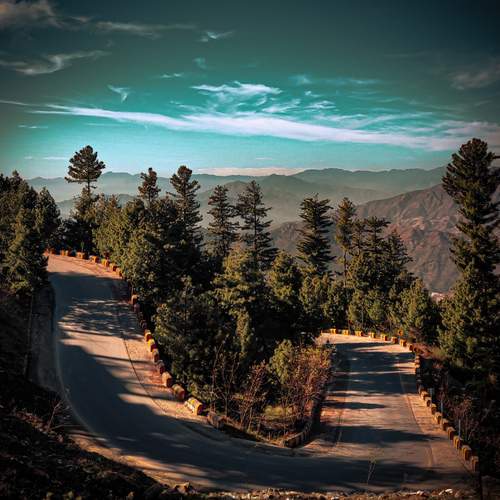 Photo #13153754