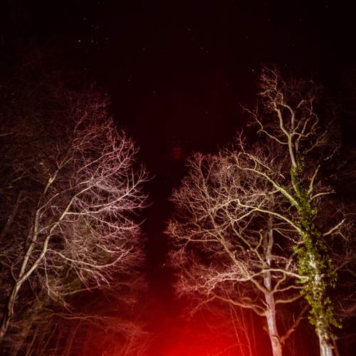 Photo #13153864