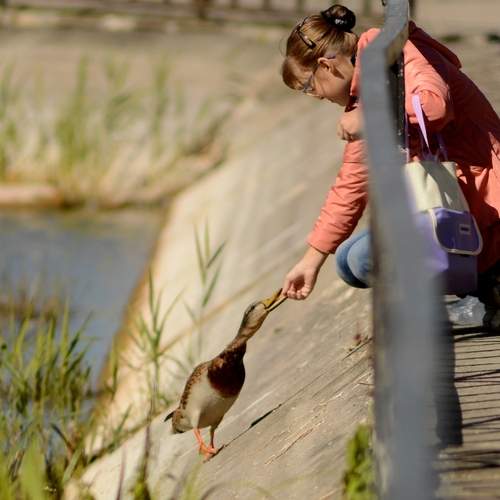 Photo #13153889
