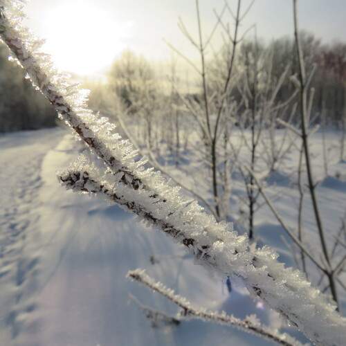 Photo #13153899