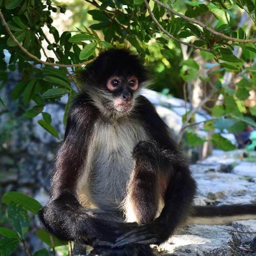 Photo #13153977