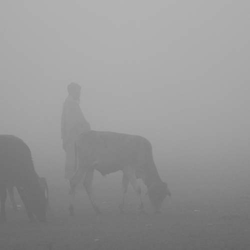 Photo #13153982
