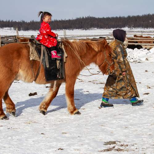 Photo #13154080
