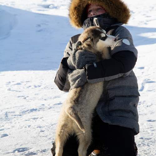 Photo #13154083