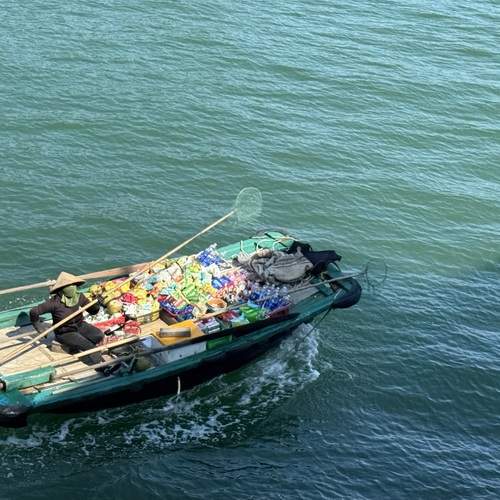 Photo #13154368