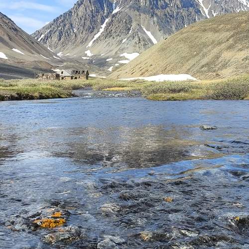 Photo #13154379