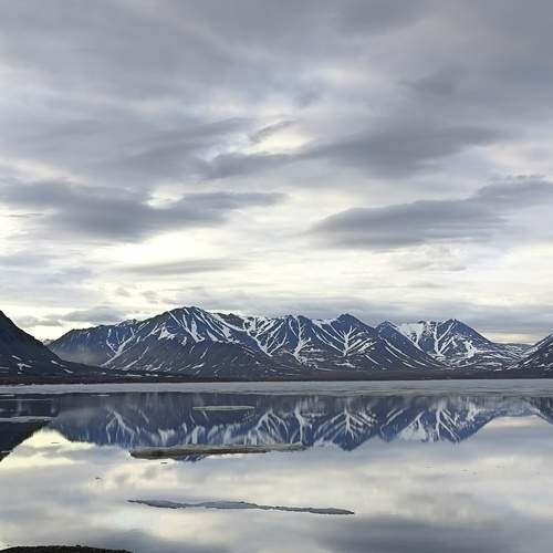 Photo #13154385