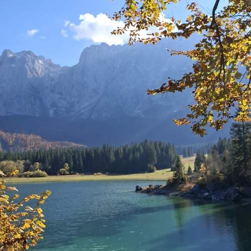Photo #13154499
