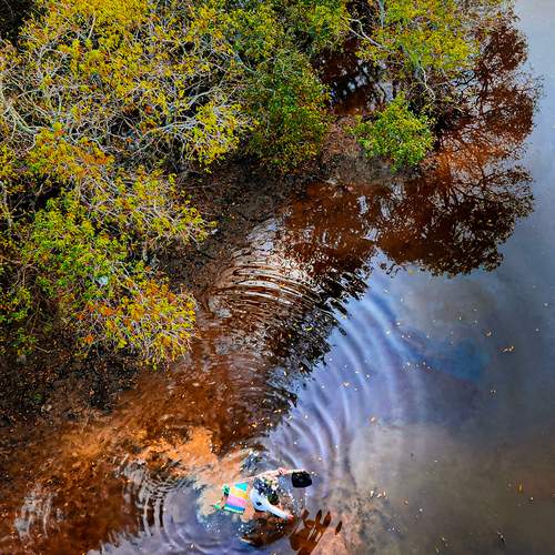 Photo #13154718