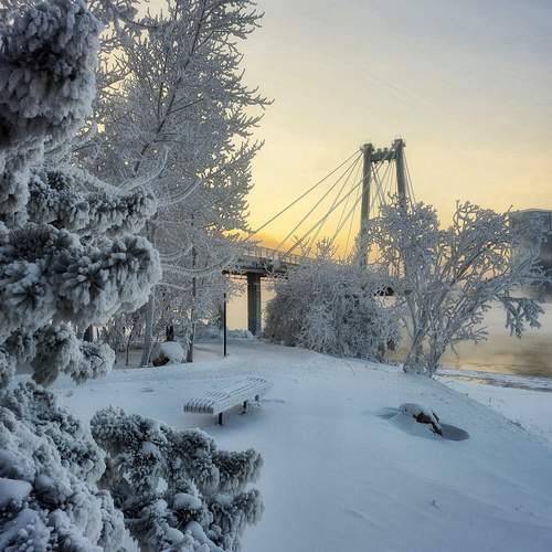 Photo #13154744