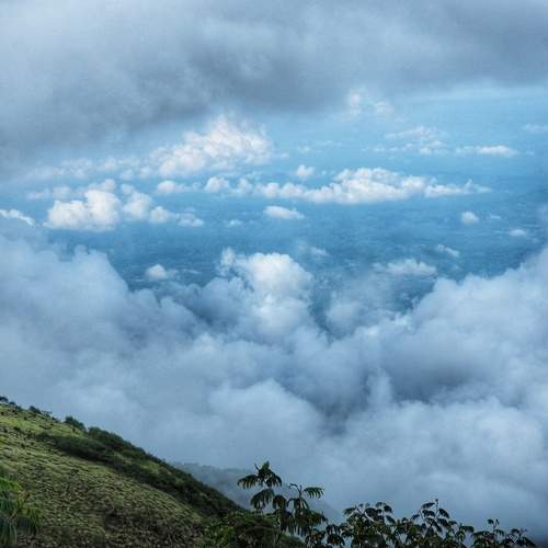 Photo #13154845