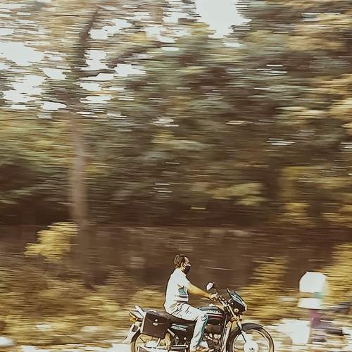 Photo #13154929