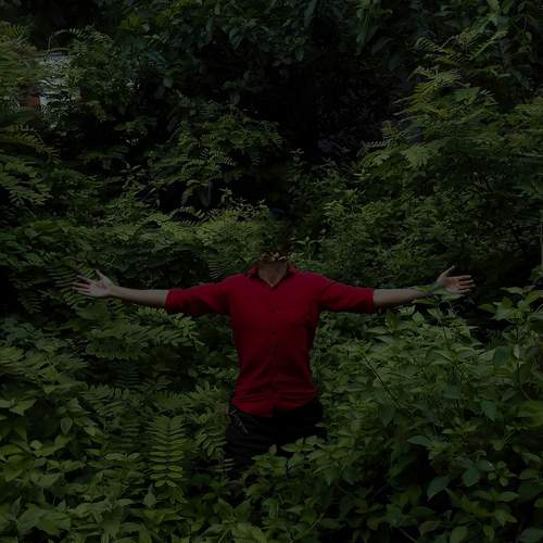 Photo #13154950