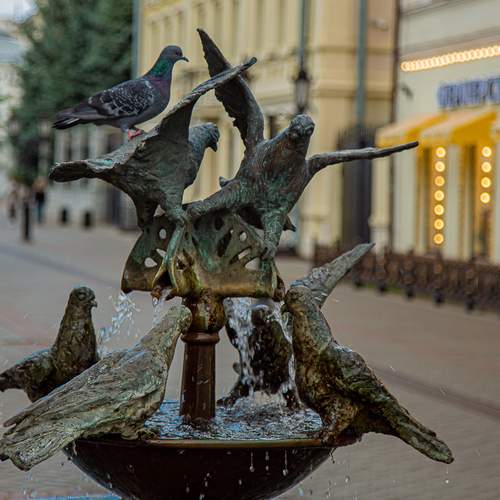 Photo #13154966