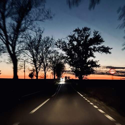 Photo #13155104