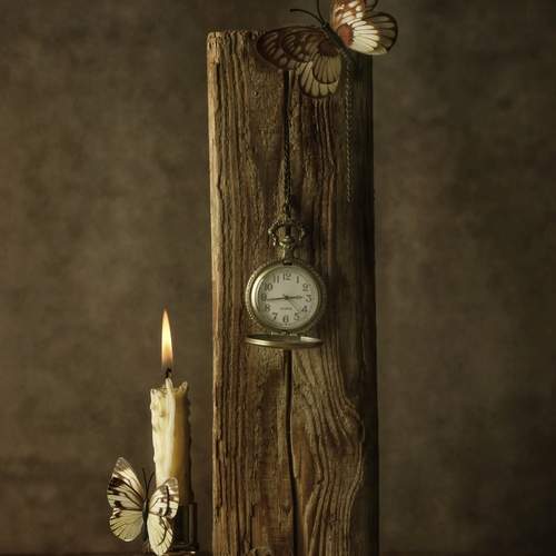 Photo #13155149
