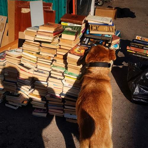 Прощание с культурой