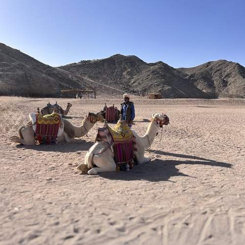 Photo #13155231