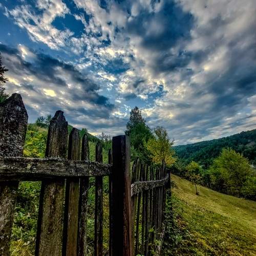Photo #13155258