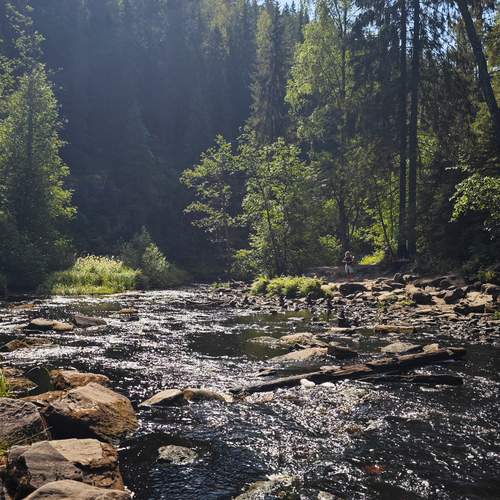 Photo #13155322